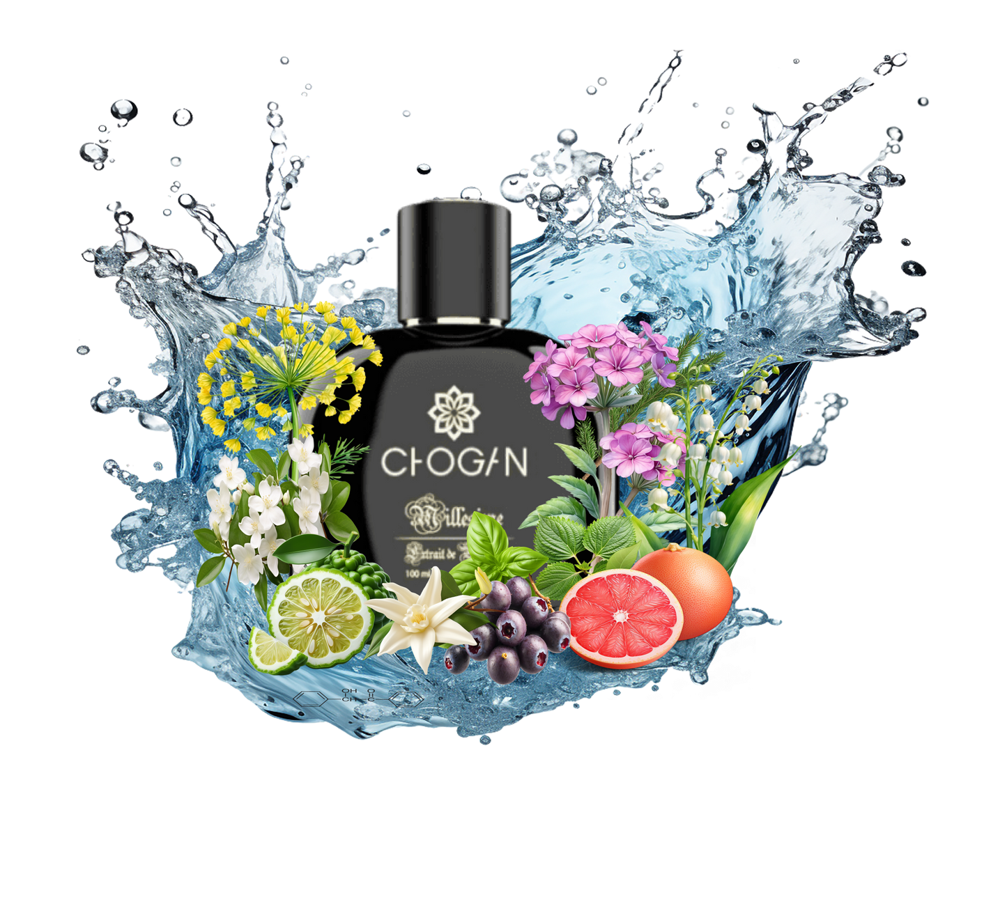Perfume For Him with 30% essence - 70 ml Br. 015