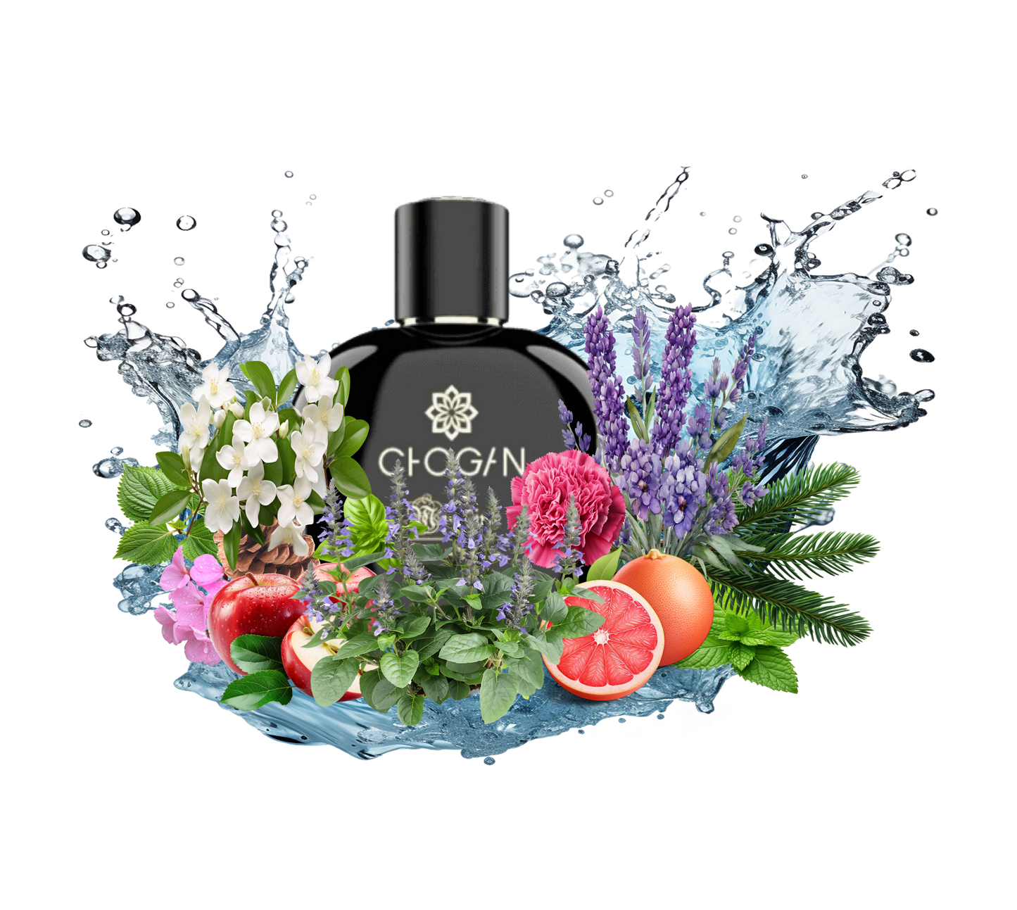 Perfume For Him with 30% essence - 70 ml Br. 205