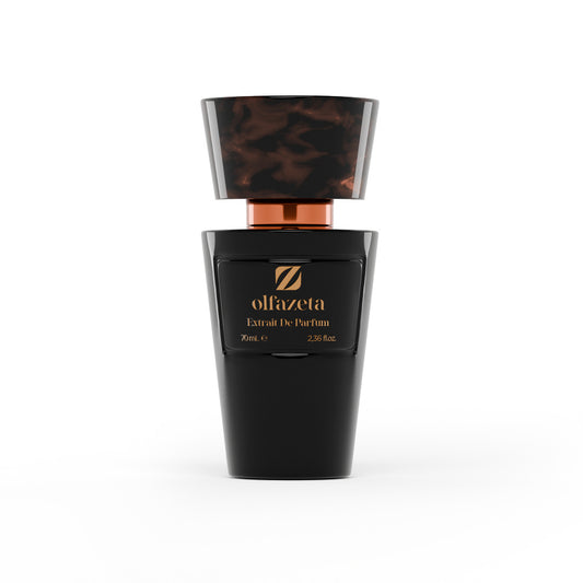 Perfume for Him with 30% essence - 70 ml Br. 079